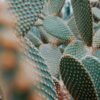 Why It Occurs and How to Treat It – Cora